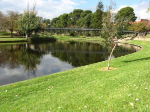 image from Adelaide Activities