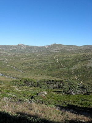 image from At the top