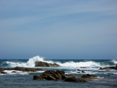 image from Back on the Coast