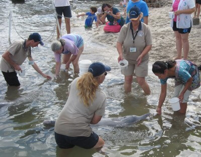 image from Coming to Brisbane