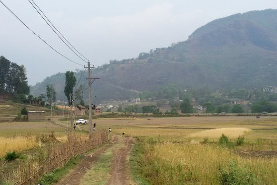 image from Bunga Dyah Jatra