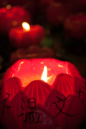 image from Canon Powershot S95 vs Nikon D40 - Compact vs DSLR