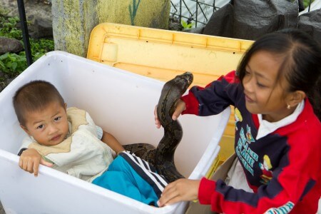 image from Central Bali