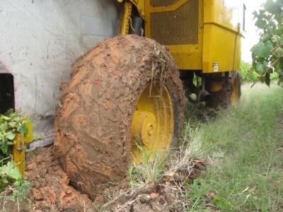 image from Clearing Showers