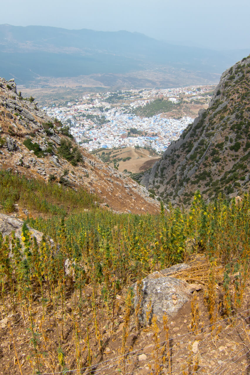 image from Climb that Hill!