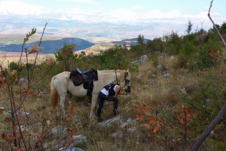 image from Countryside, the lazy way