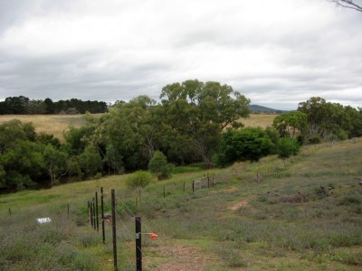 image from Countryside