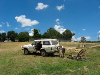 image from Early Morning