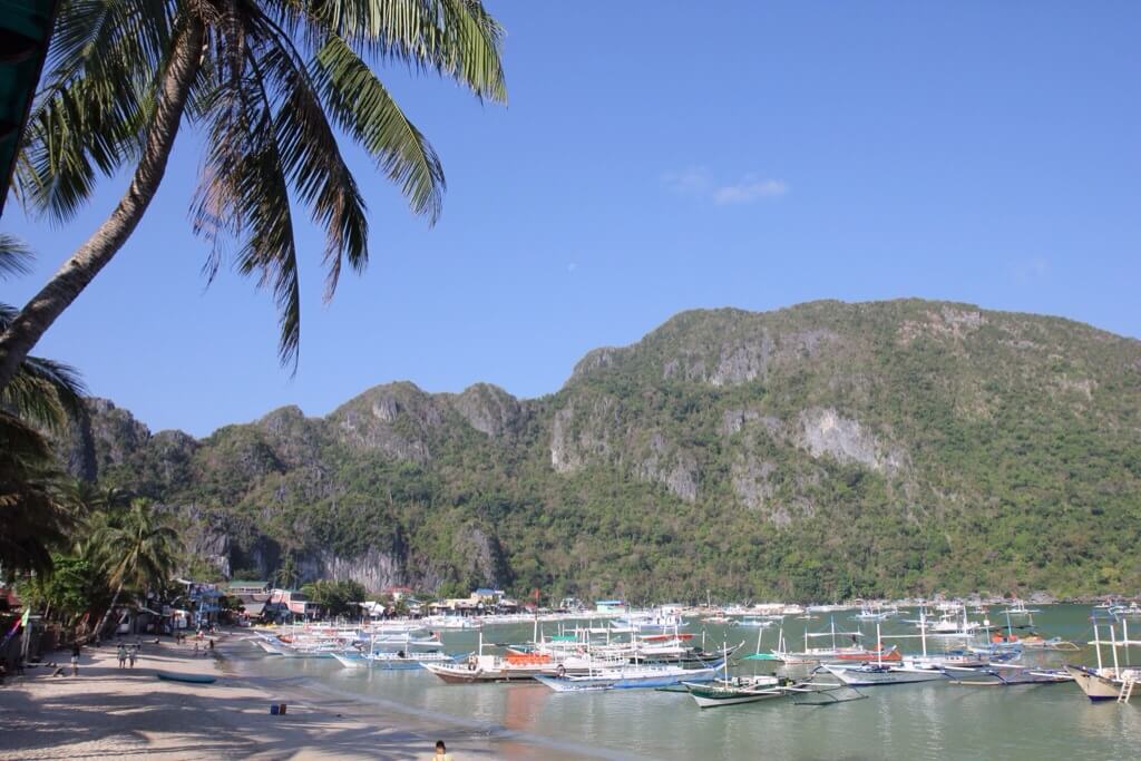 image from From the window of my room...