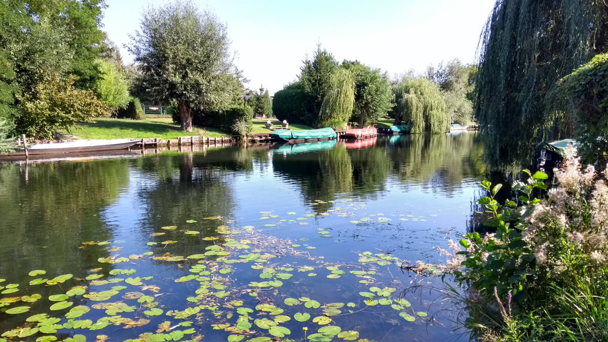 image from Hinterhermsdorf to Berlin