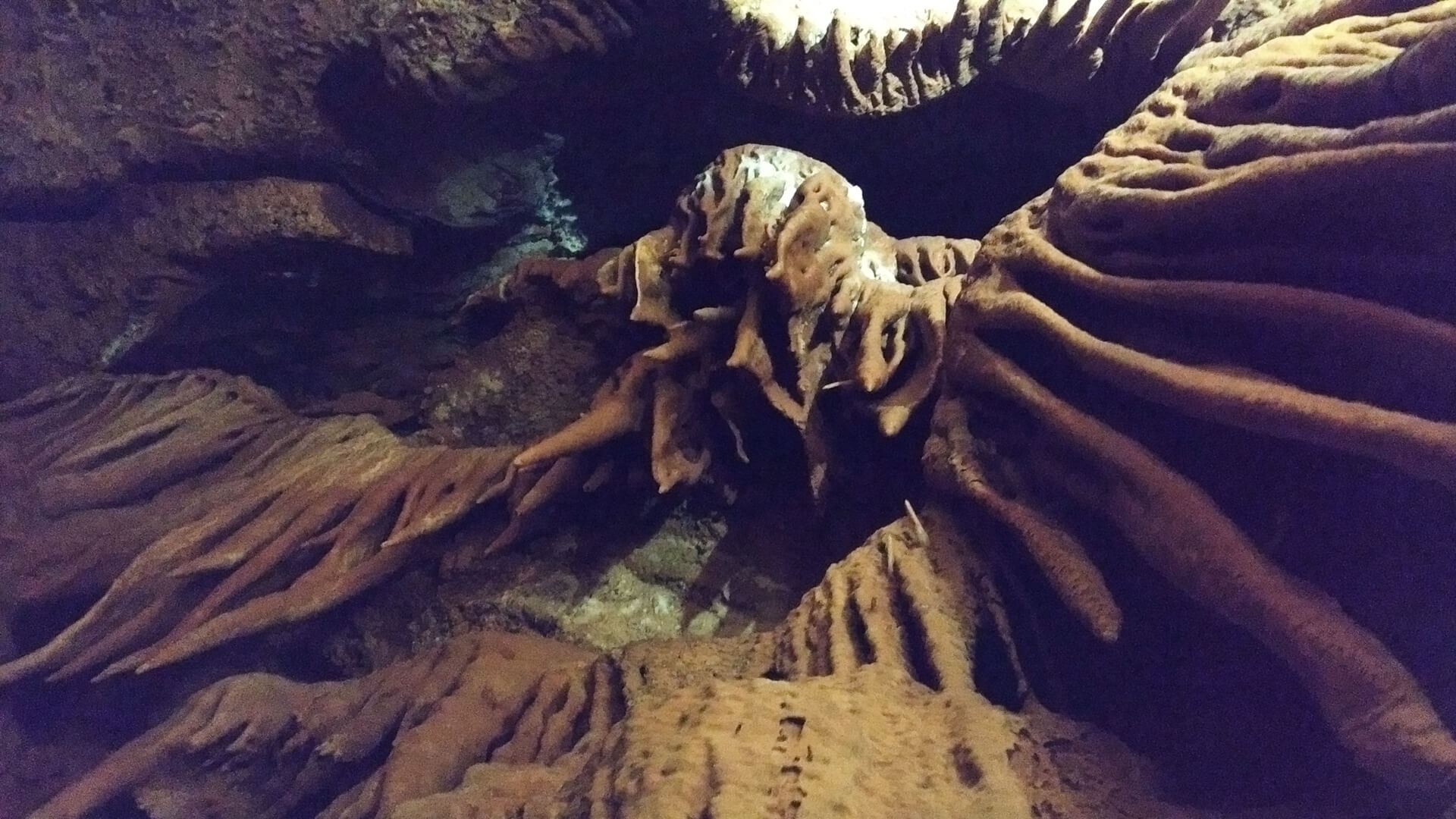 image from Jama Baredine