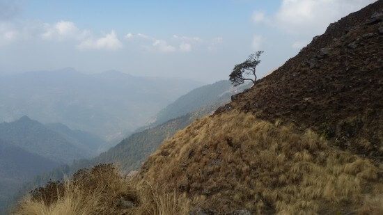 image from Khopra Ridge Trek Day 7