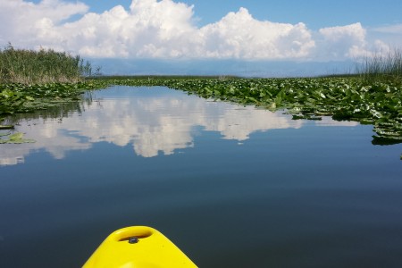 image from Lake Skadar