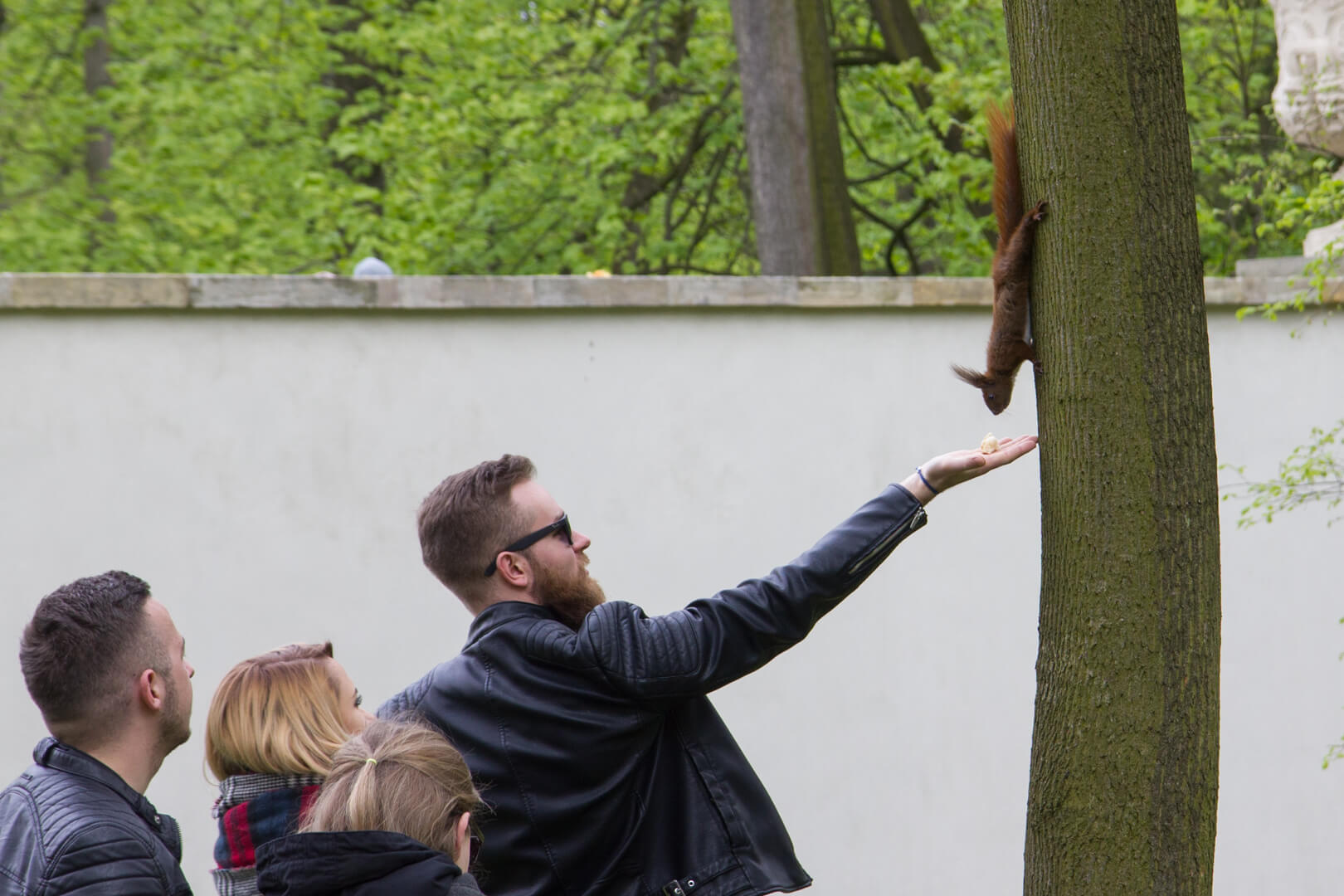 image from Łazienki Park and Warsaw Central