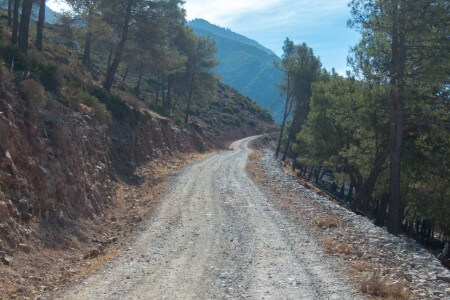 image from Legs of Lead