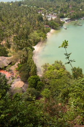 image from Market Food