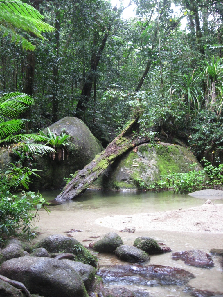 image from Mossman Gorge