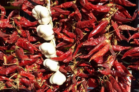 image from Next Stop: Belgrade–Glavna