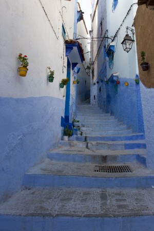 image from Not an early Bird