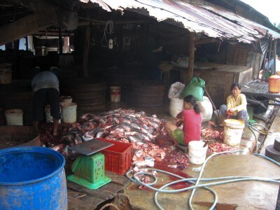 image from Recent Cambodian History