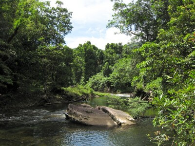 image from Road Trip!