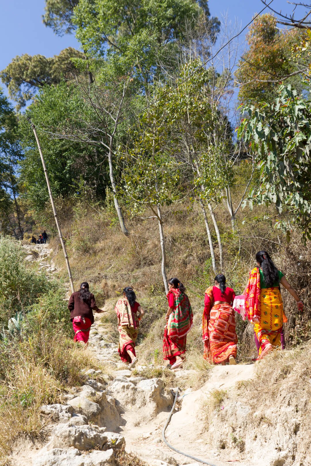 image from Shivaratri