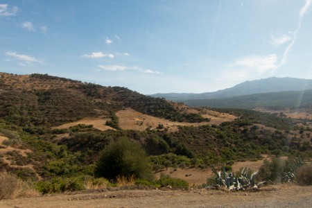 image from Tangier for the Night