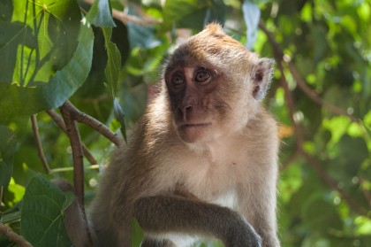 image from The Comparison - Part 2