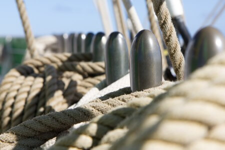 image from Trainee's Log, Days 7 and 8