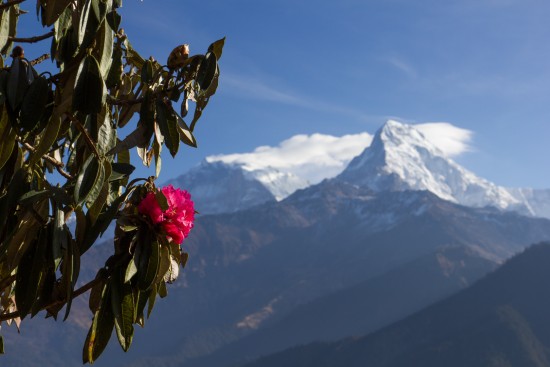 image from Trekking in Nepal: Conclusion
