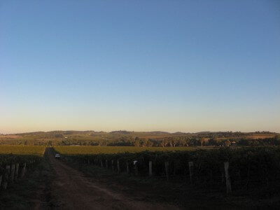 image from Vintage Life