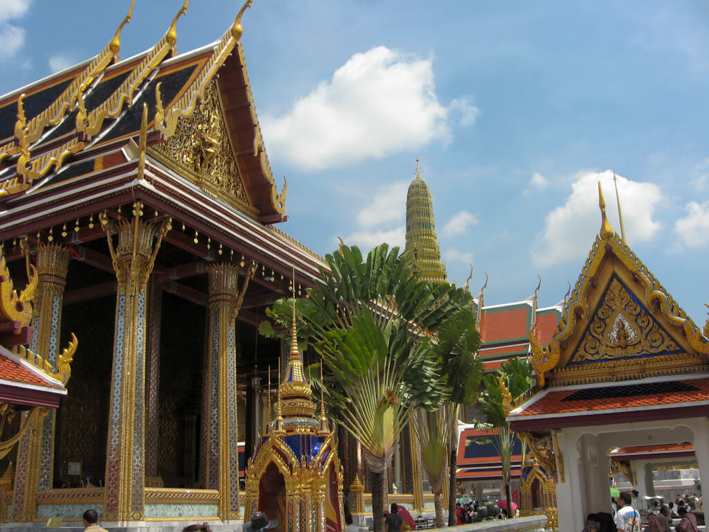 image from Wat what?