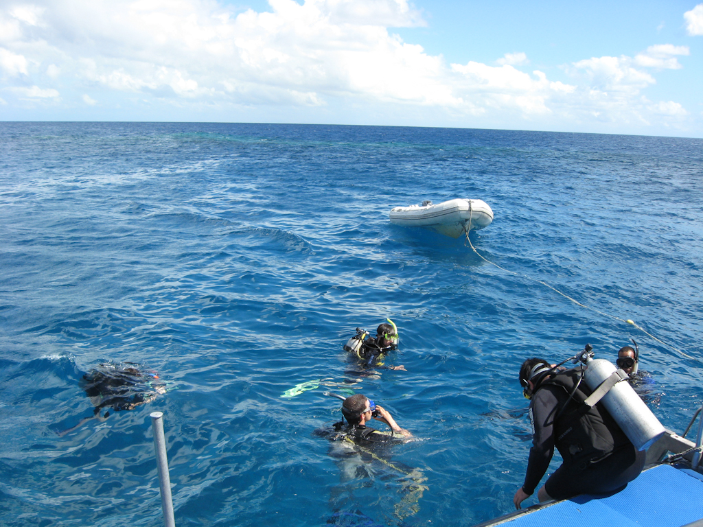 Divers Divers and crystal clear Water