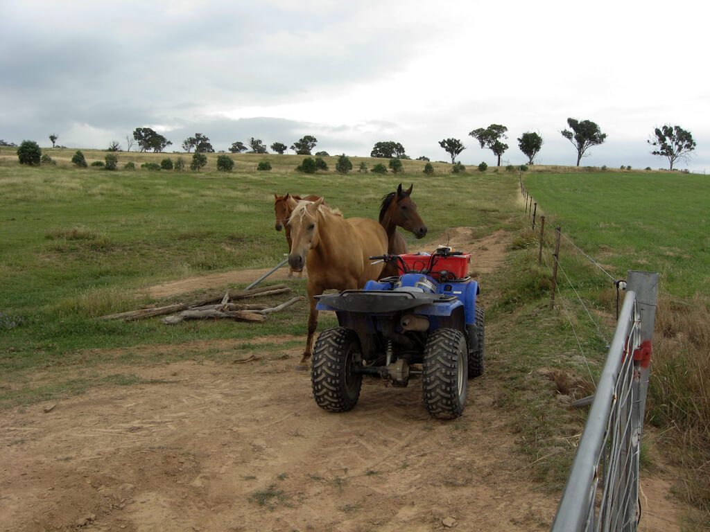 Farm Life