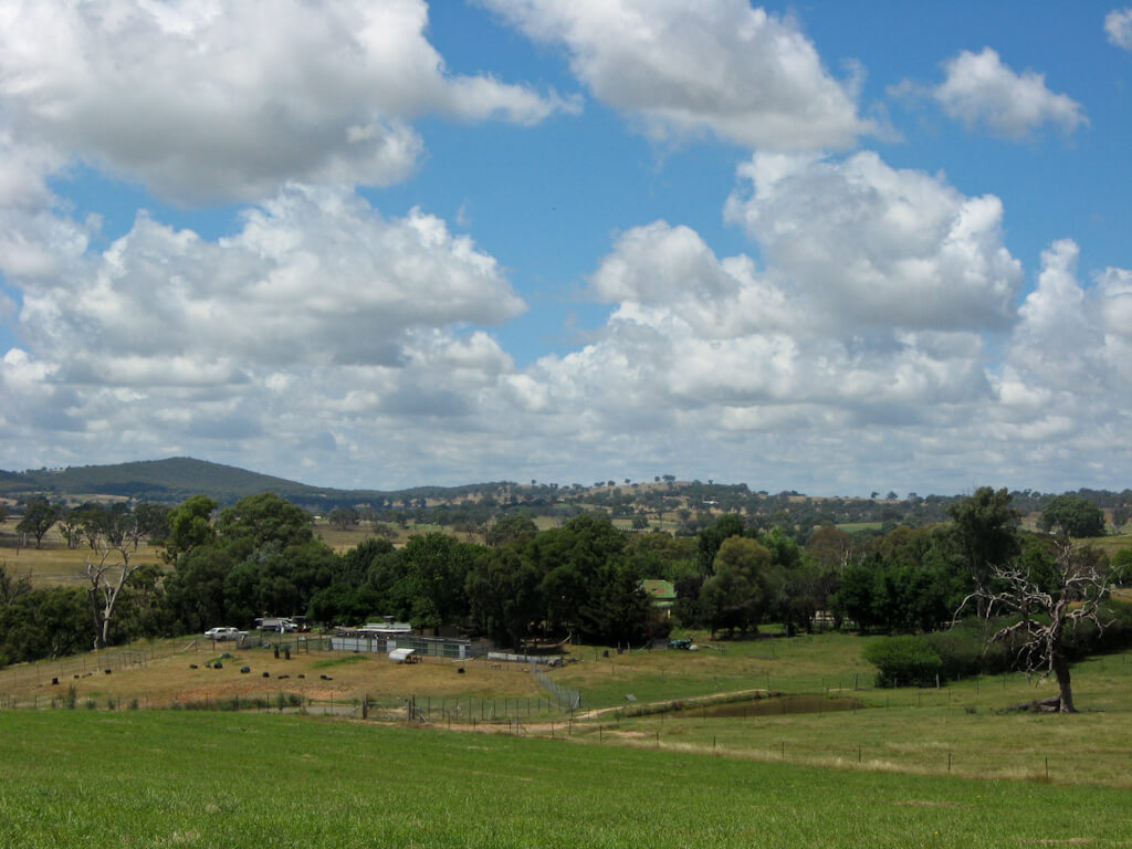 Farm Impressions