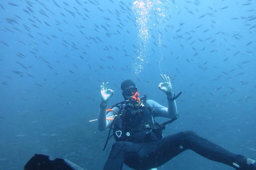 Wreck Diving