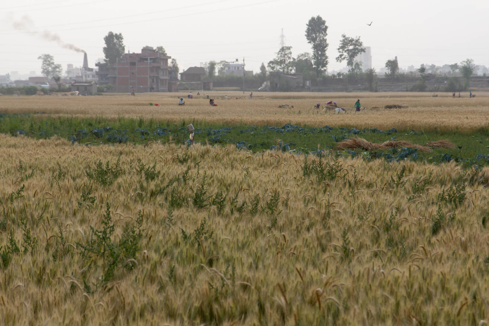 North of Bhaktapur