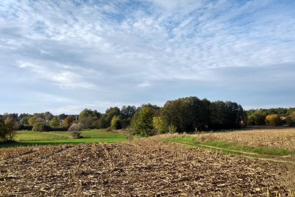 Hiking around Berlin